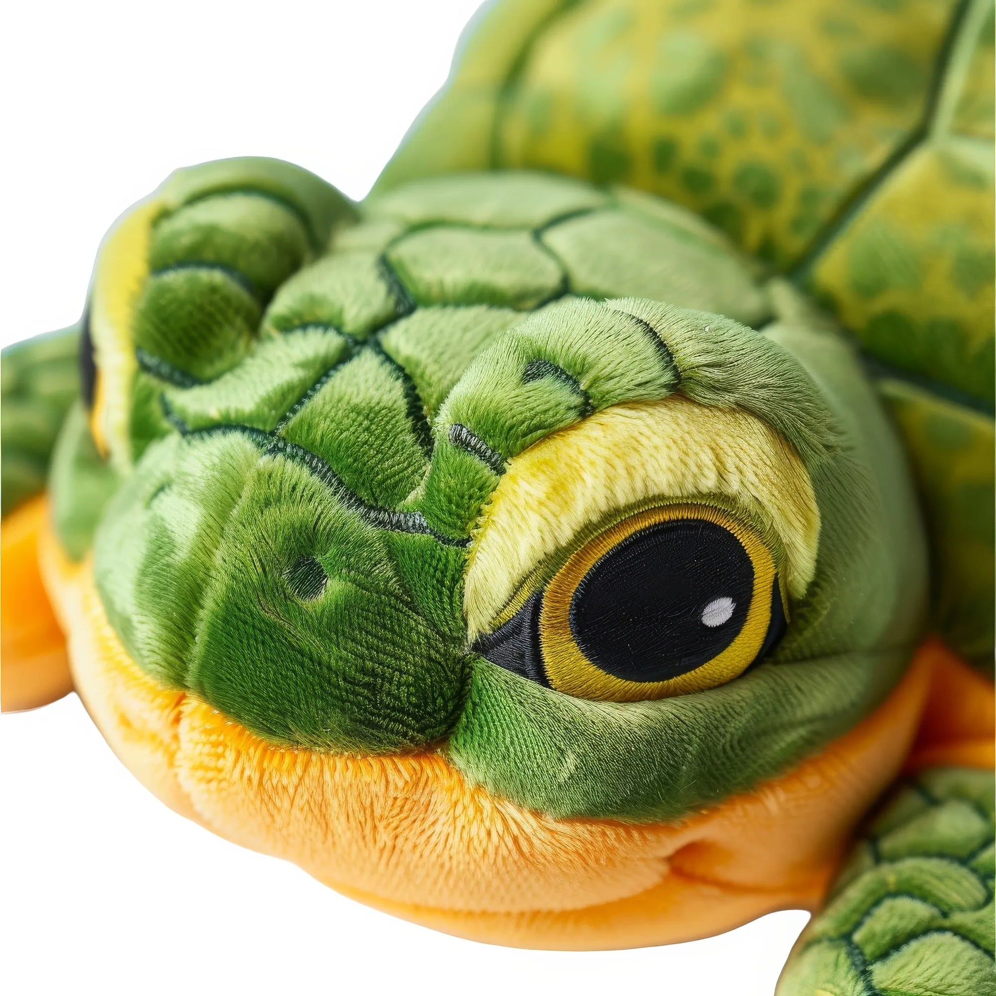 Aina turtle toy