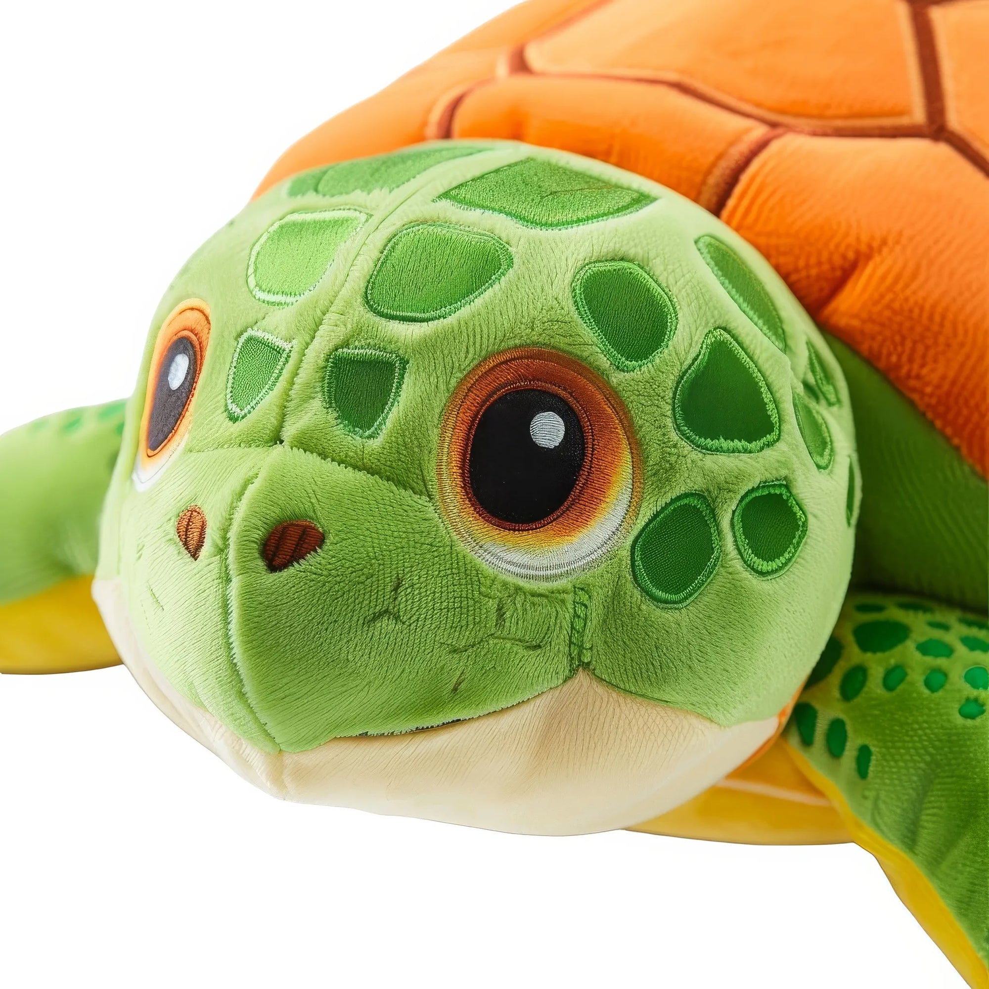 Aina turtle toy