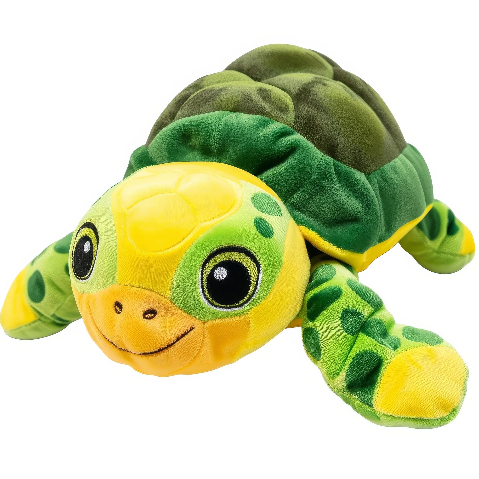 Aina turtle toy