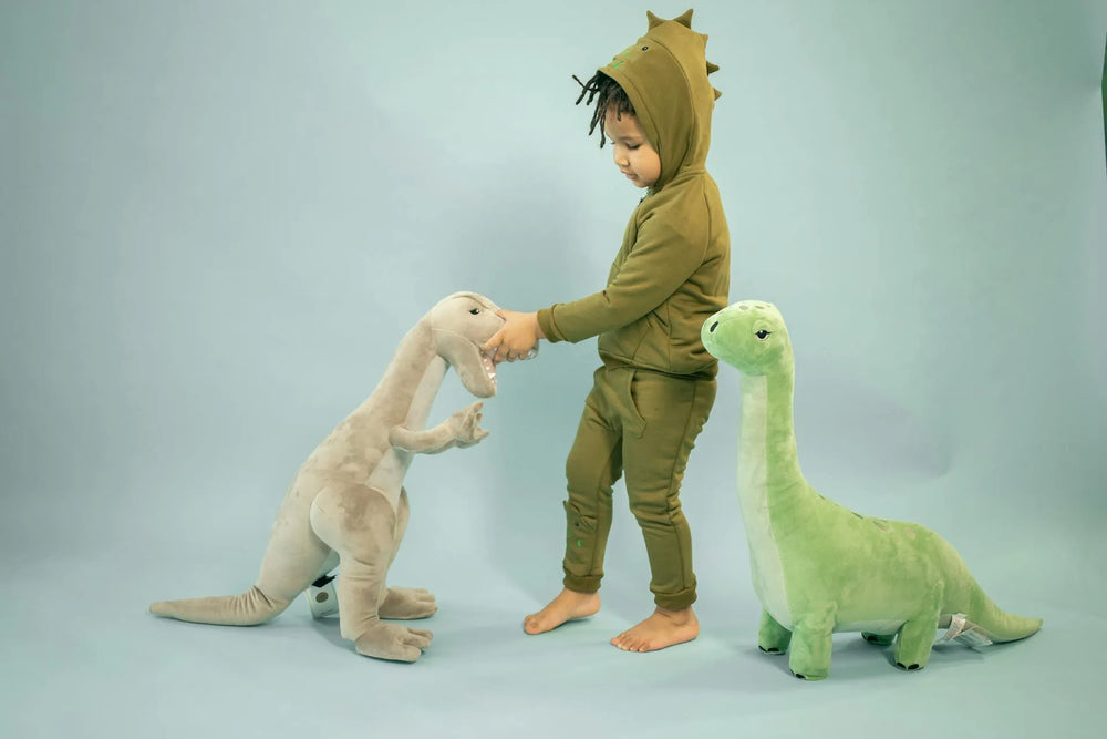 Come è iniziata Amiki: da una piccola idea a leader nel mondo dei peluche