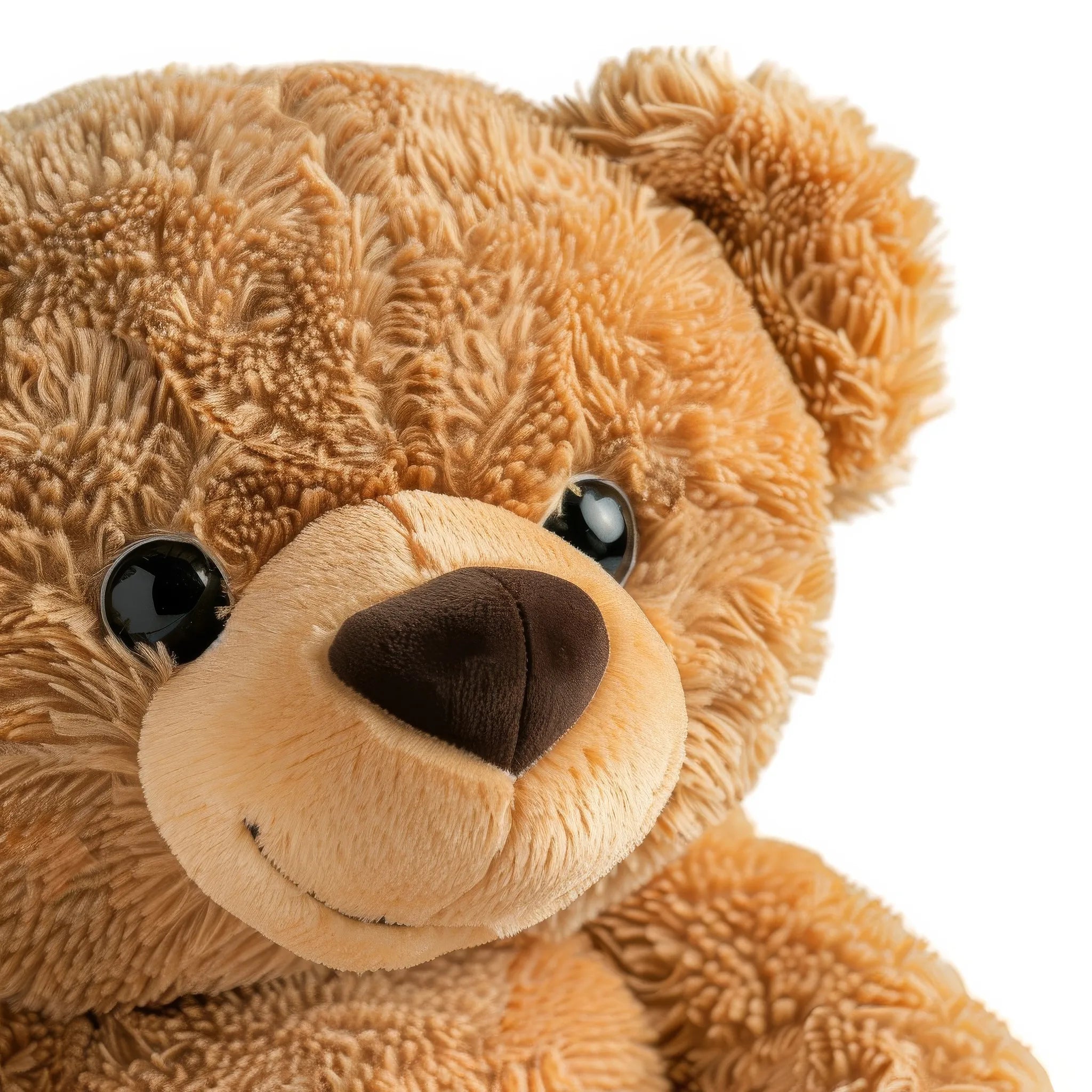 Aayush bear toy