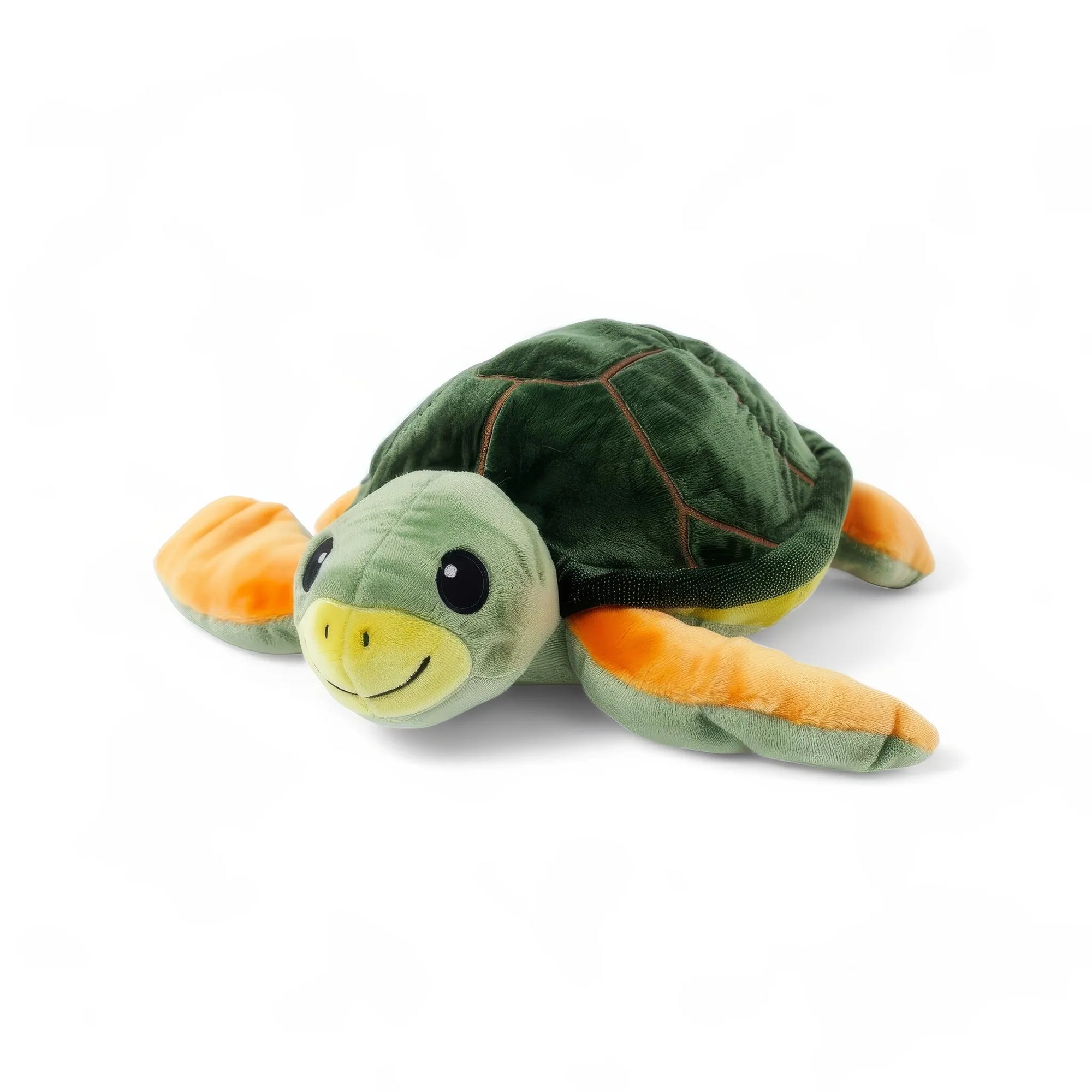 Aimee turtle toy